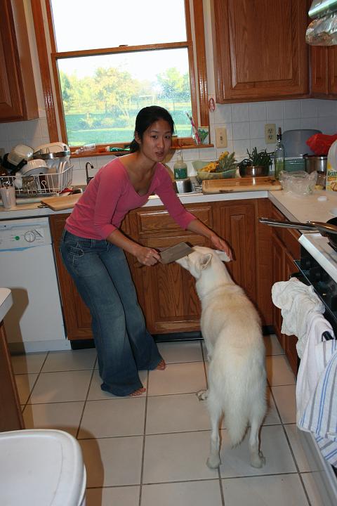 IMG_0691.jpg - punishment for begging...