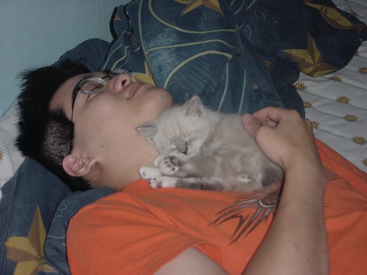 DSC00092.jpg - apparently I'm just a giant pillow...