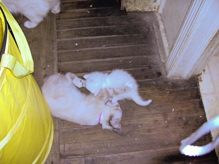 HPIM0188.jpg - being a good big brother!!