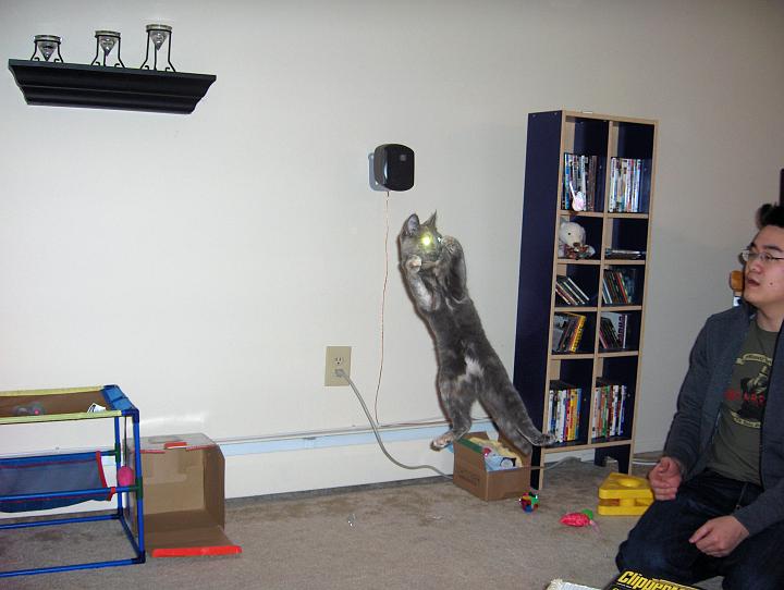 HPIM2627.jpg - somewhere in that picture there's the mouse she wants to catch...