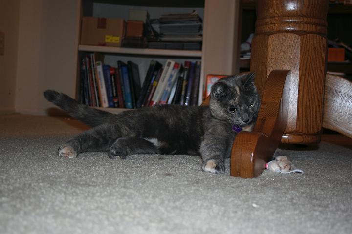 IMG_1027.jpg - my mouse!