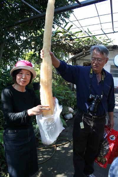 I had a gourd "THIS" big!!