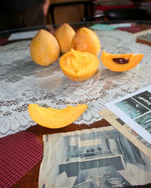 it\'s a fruit, with the consistnce of an egg yolk. it\'s hard going down, but it was really sweet and had this weird aftertaste. I can\'t have more than a few bites