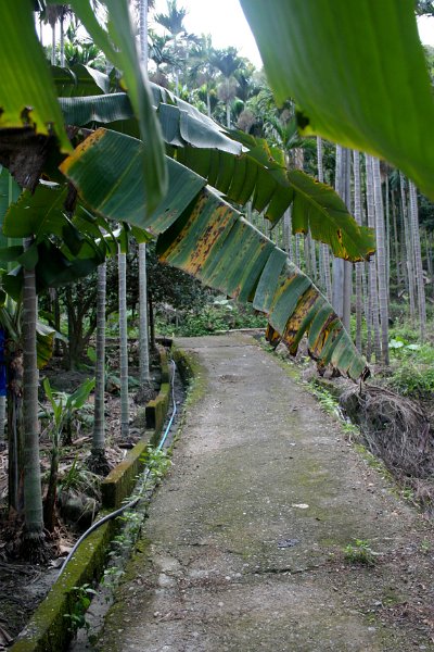the road leading to the outside of the village.