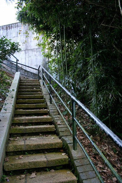 walked a path around sun moon lake